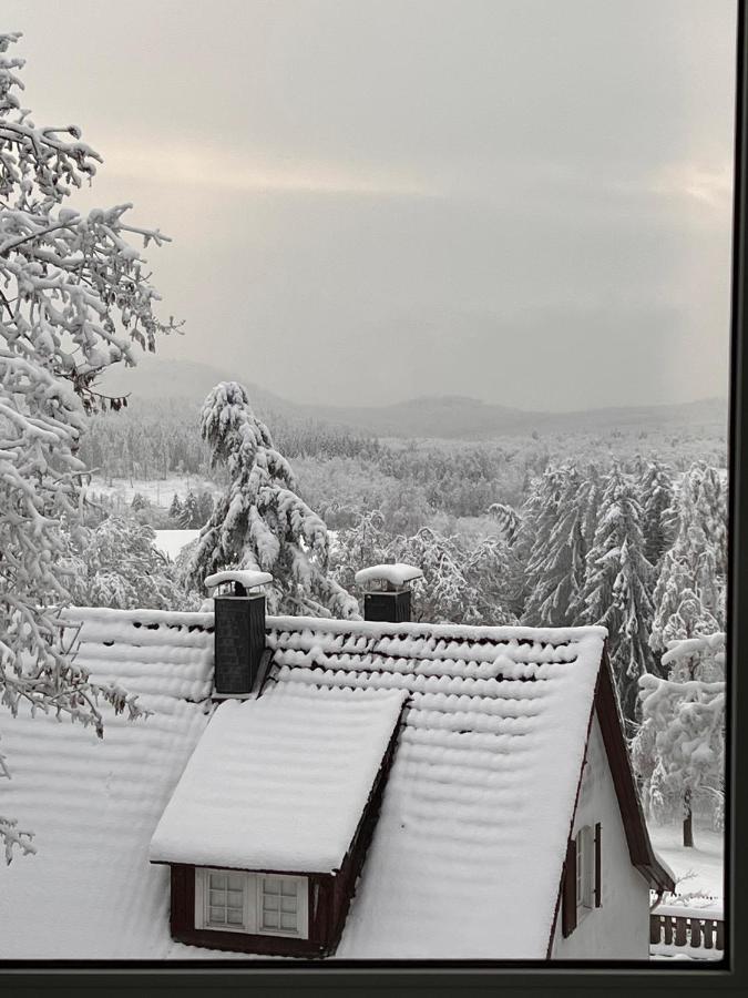 Chalet627 Braunlage Buitenkant foto