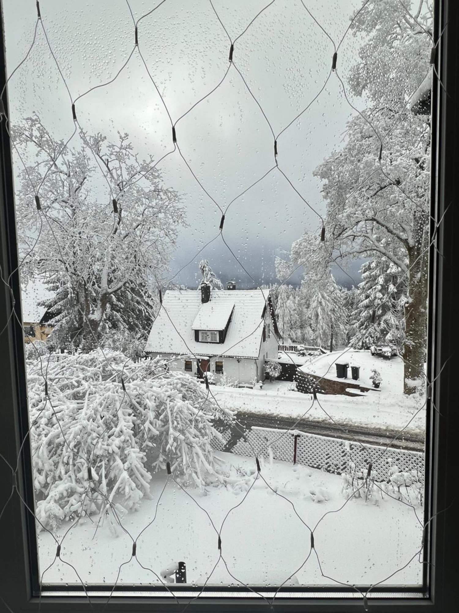 Chalet627 Braunlage Buitenkant foto